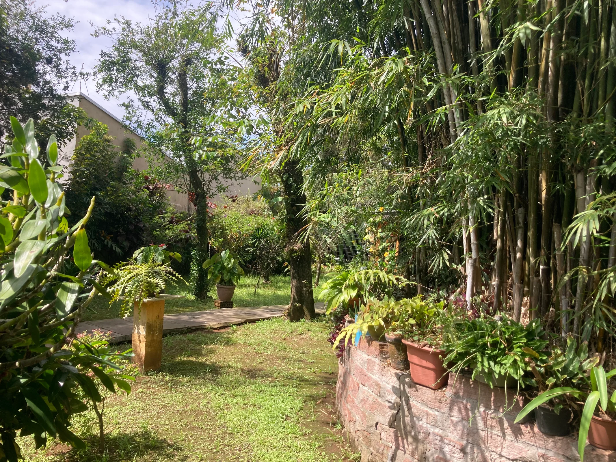 Terreno de 1.364 m² com casa de 2 suítes à venda em Canoas – Oportunidade para morar ou investir — foto 3