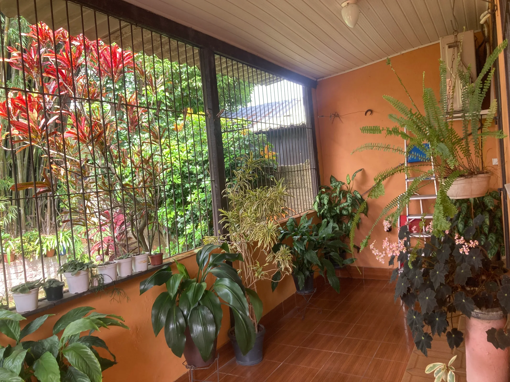 Terreno de 1.364 m² com casa de 2 suítes à venda em Canoas – Oportunidade para morar ou investir — foto 24